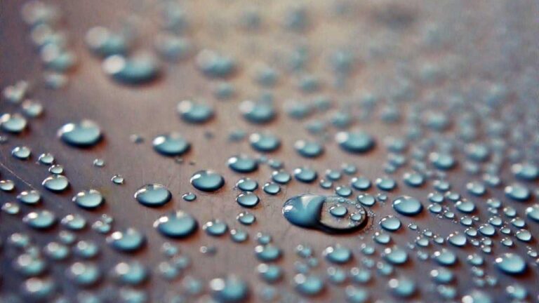 Is 11Xplay Dot Pro A Genuine Domain?