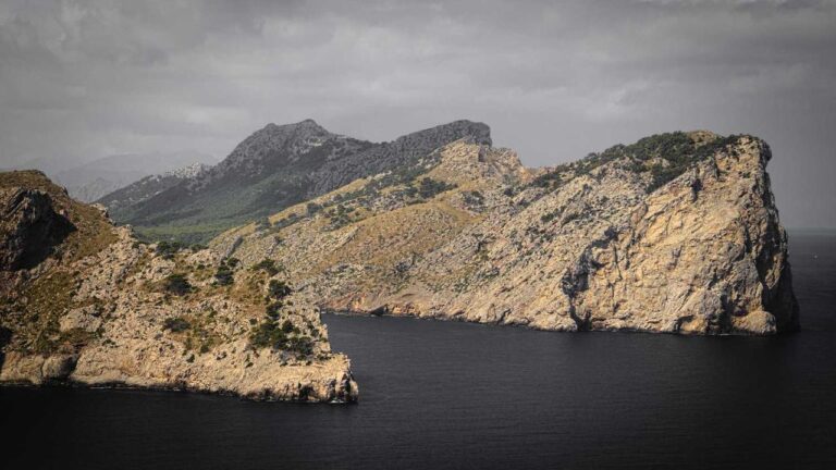 What Does Cricbet99 M Home Page Include?